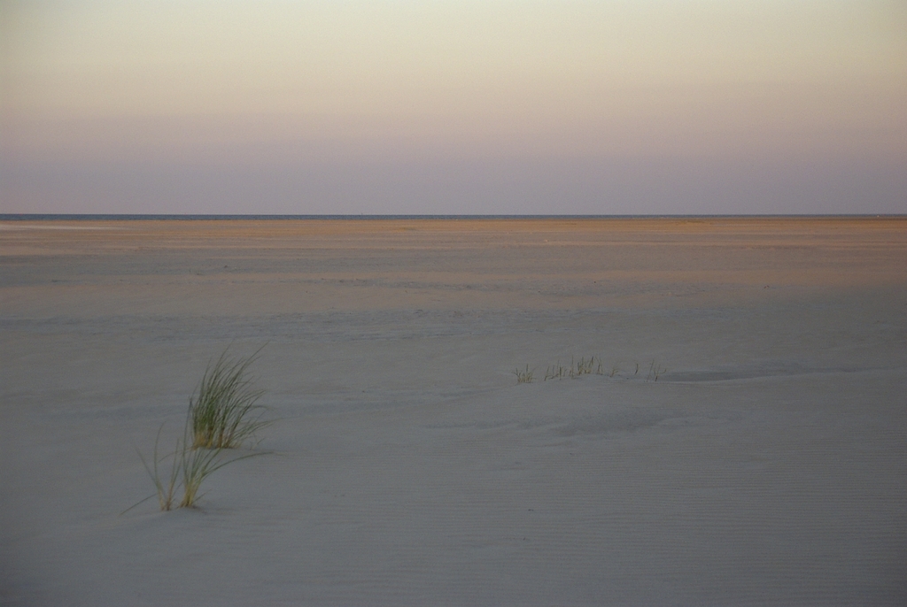 beach in east of the island Wangerooge