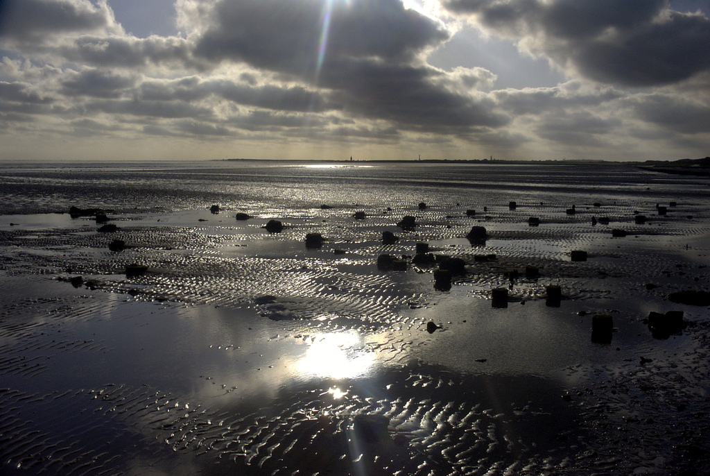 Wadden Sea