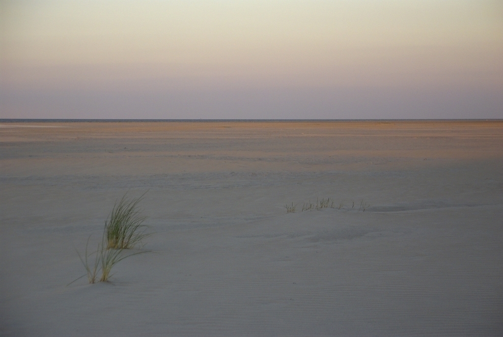 beach in east of the island Wangerooge