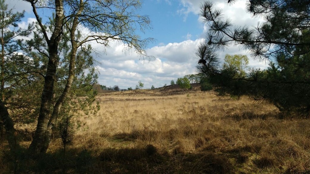 Dunes landscape 25 min. by car