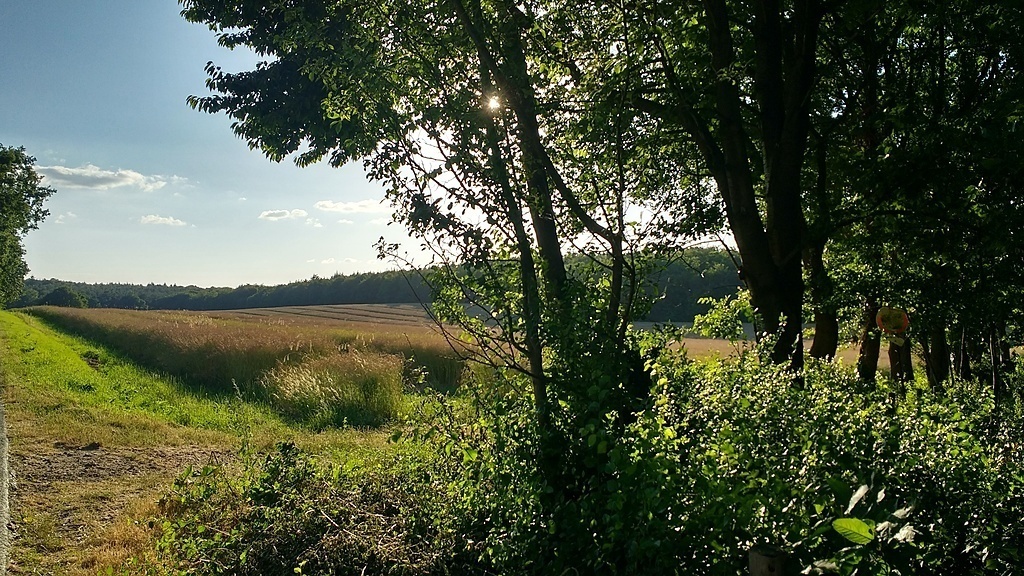 nature nearby, have a walk