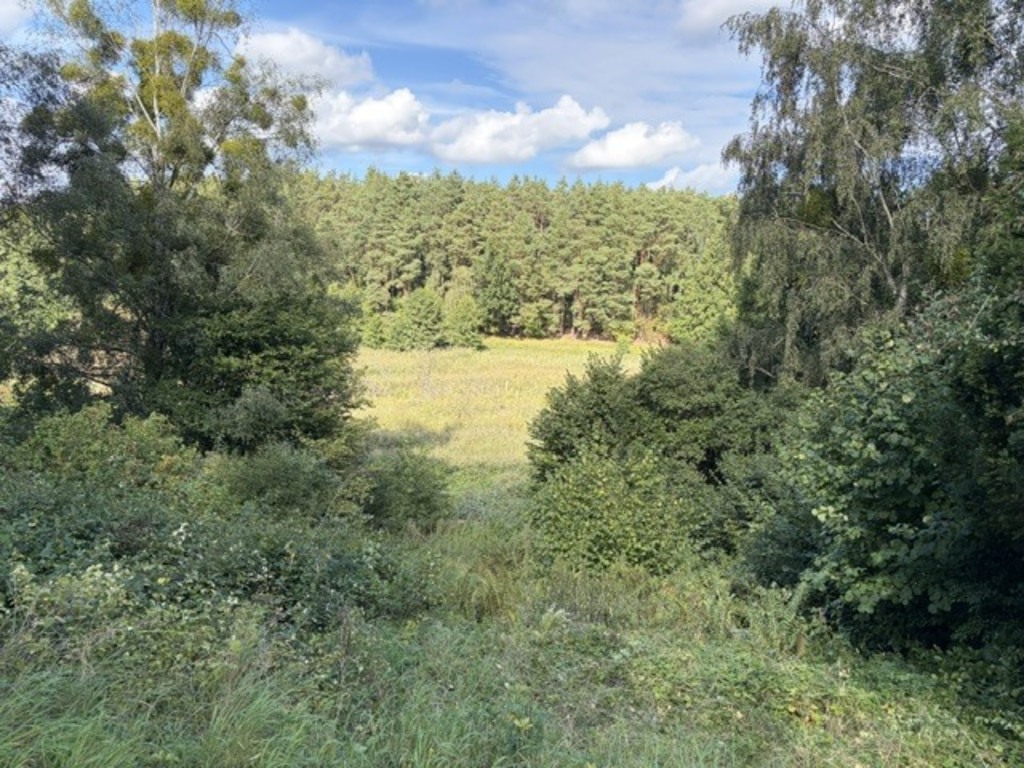 summer house - view