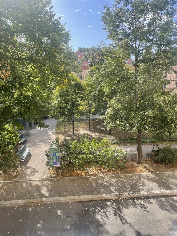 view from our dining room