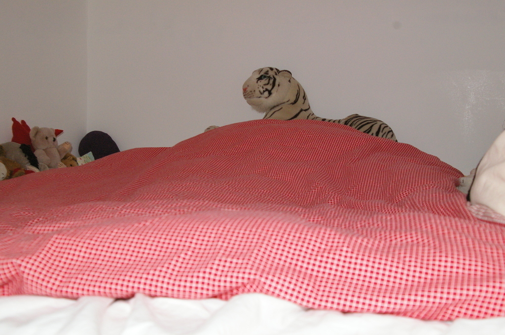 Johannes loft bed - room for Johannes & his tiger or three kids or two adults. 
