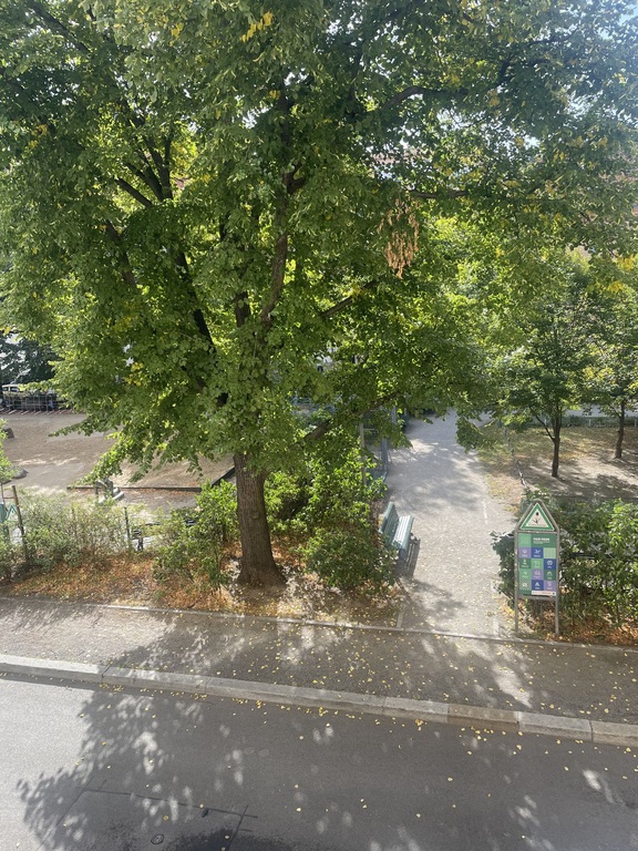 view from our dining room