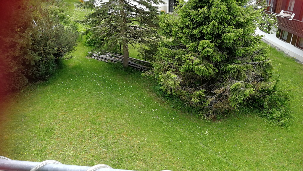 Garten hinter dem Haus für alle