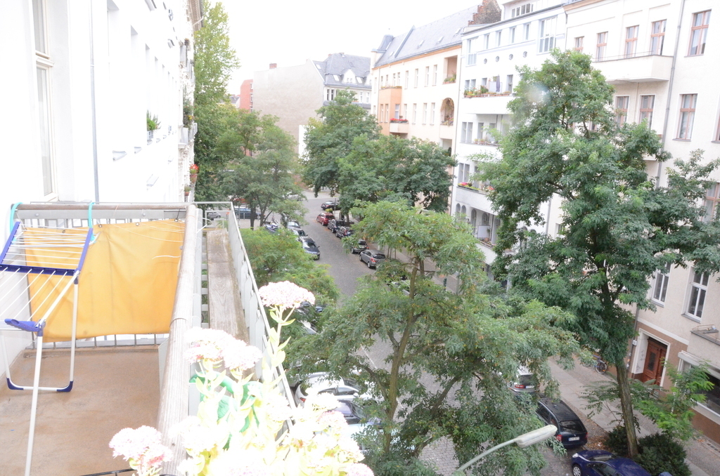 view from the balcony left