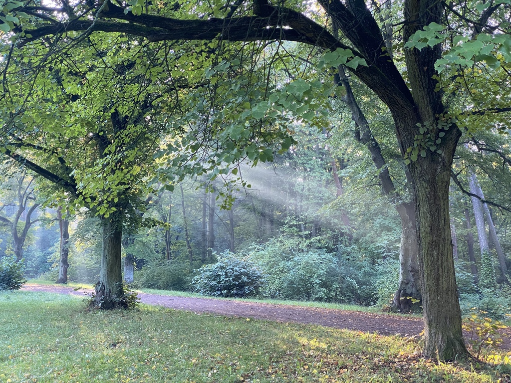 Schönholzer Heide Park (Entry 100 Meter far from our House)