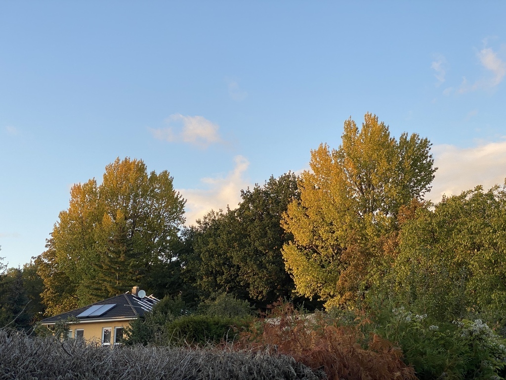 View in the Direktion to the Schönholzer Heide