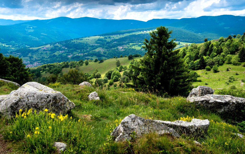 Vosges mountains, France