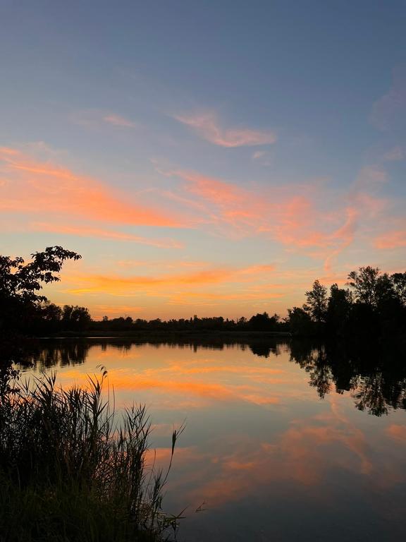 Lake Fohlengarten, Neuried-Altenheim