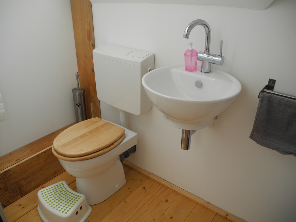 Little bathroom, upstairs