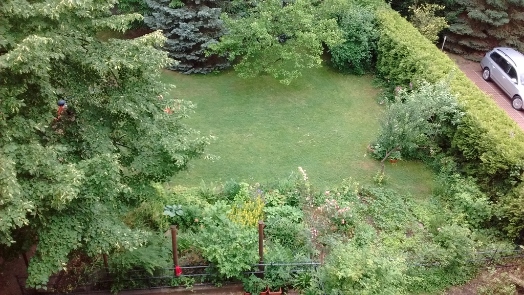 Blick vom Küchenbalkon in den Garten