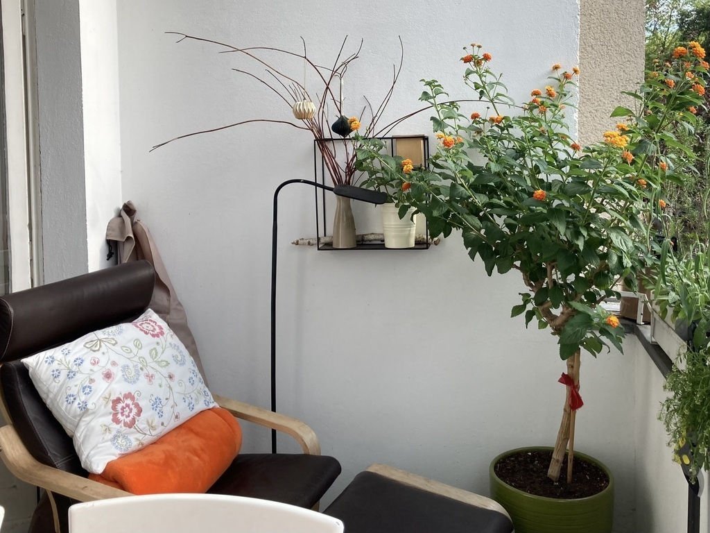 relax on the balcony