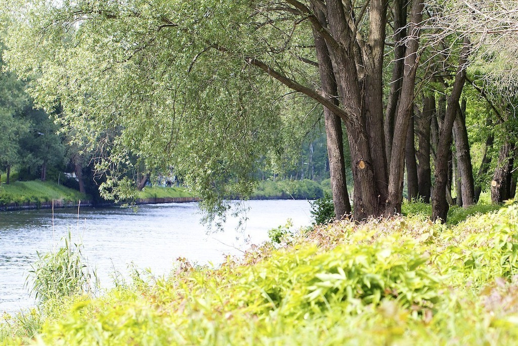 Teltow canal, 2 minutes away