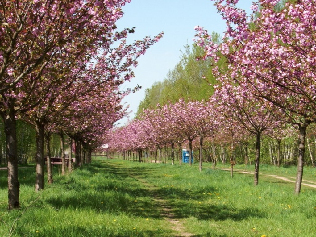 Berlin Wall Trail, 500 m away from our house