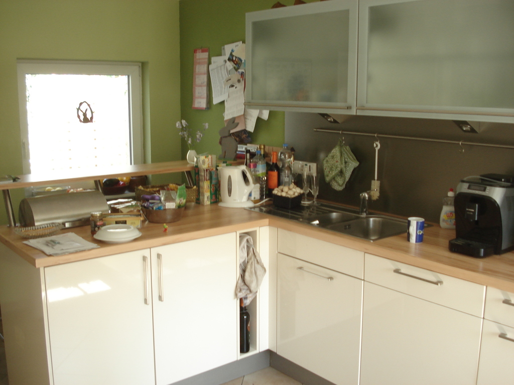 Küche/ Kitchen/ Cuisine (2)