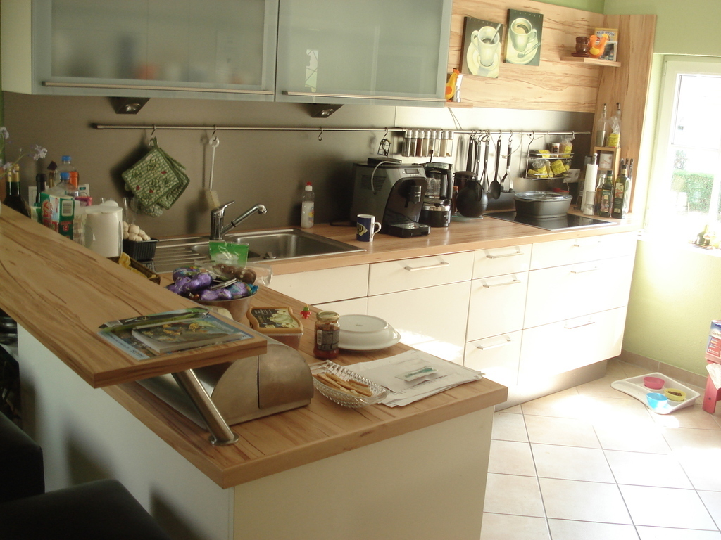 Küche/ Kitchen/ Cuisine (1)