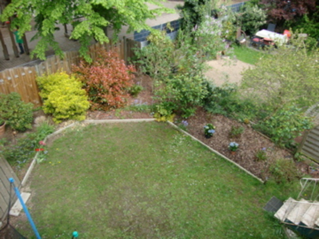 Garten/ Garden/ Jardin