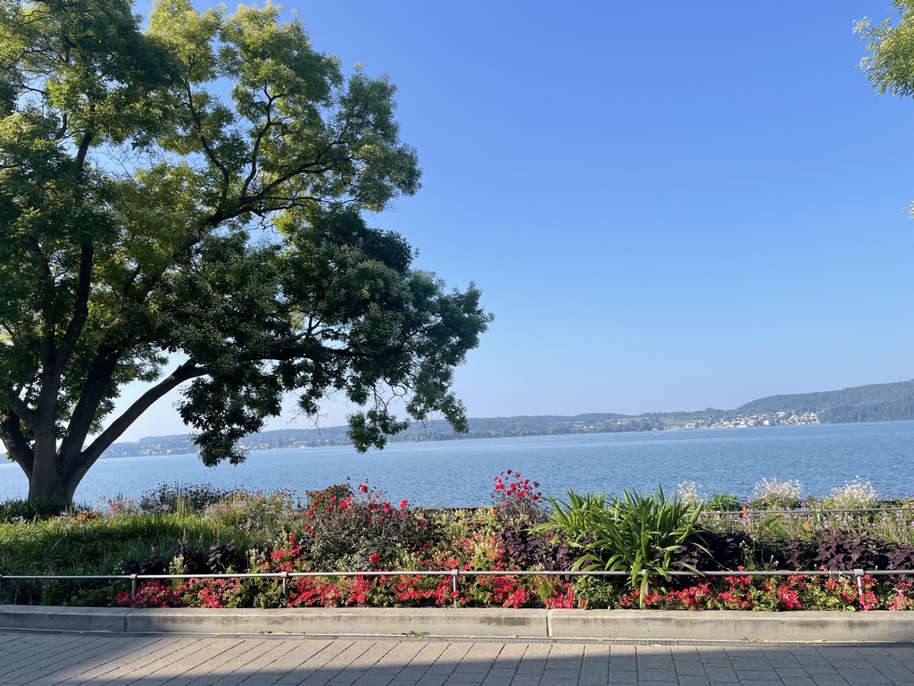 Nur ein paar Schritte entfernt...