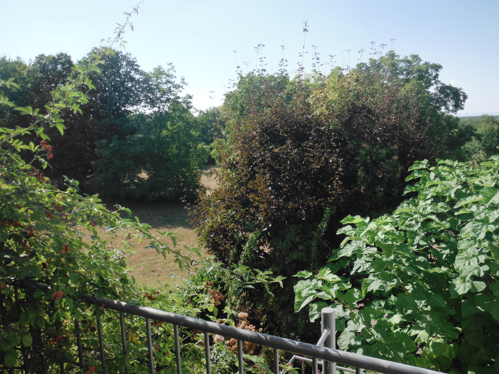 view from the balcony behind the house