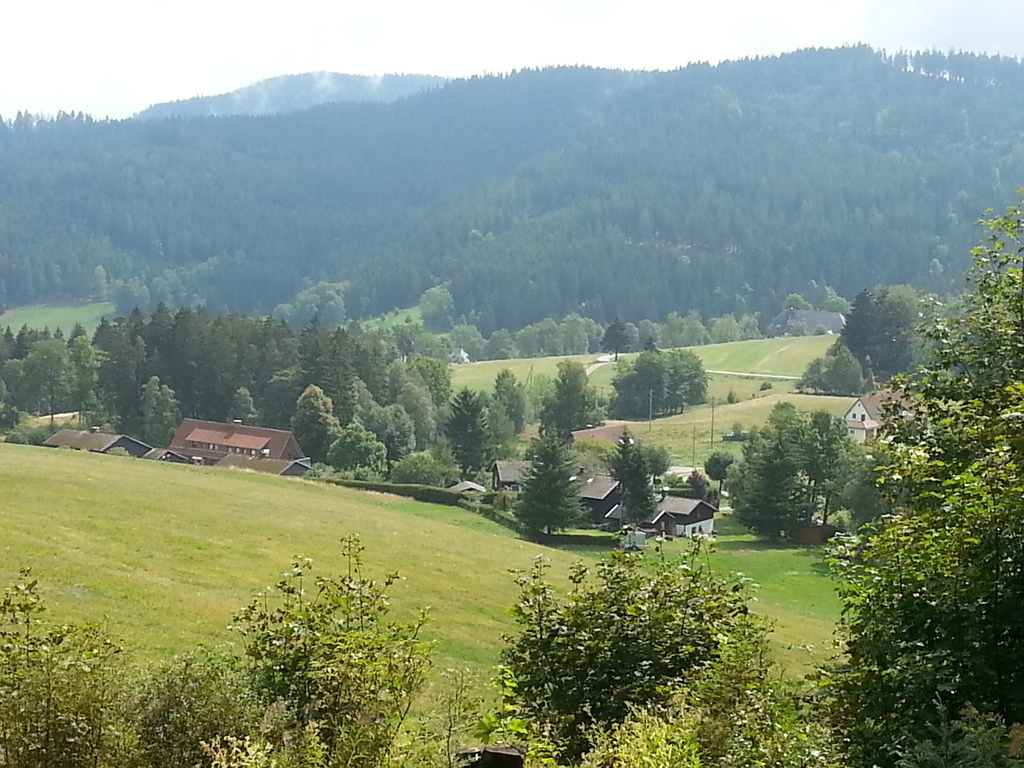 Hiking in the Black Forest