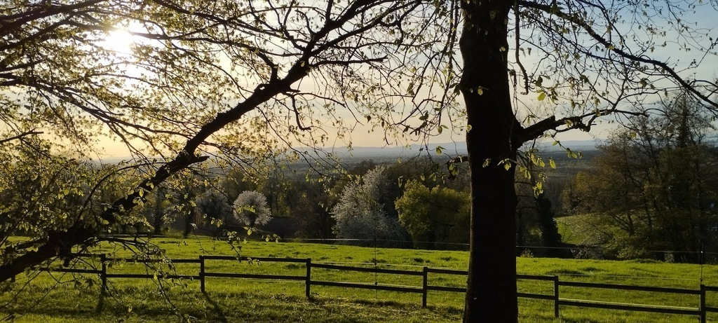 a fantastic view (near our house)