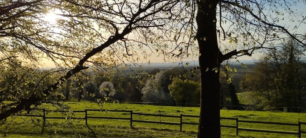 a fantastic view (near our house)