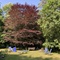 A lot of space and nature / Viel Platz und viel Natur