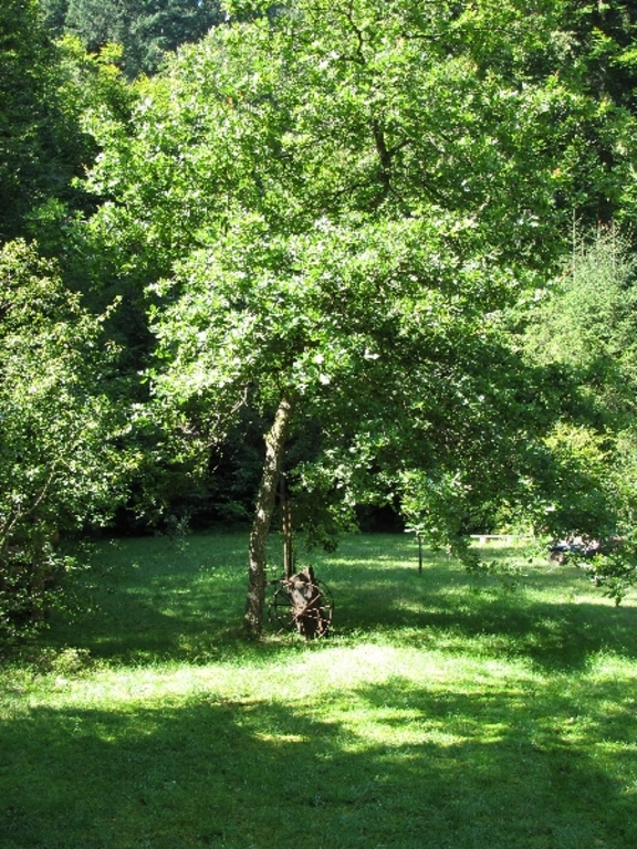 There is so much space! / So viel Platz!