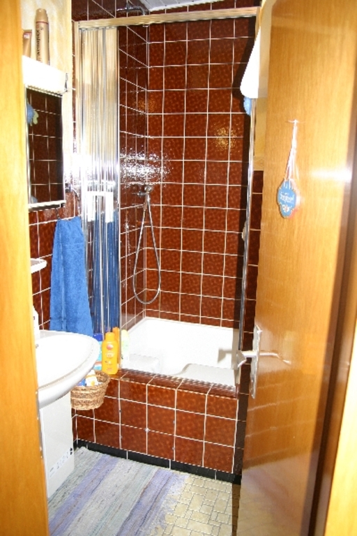 The bathroom with shower / Bad mit Dusche