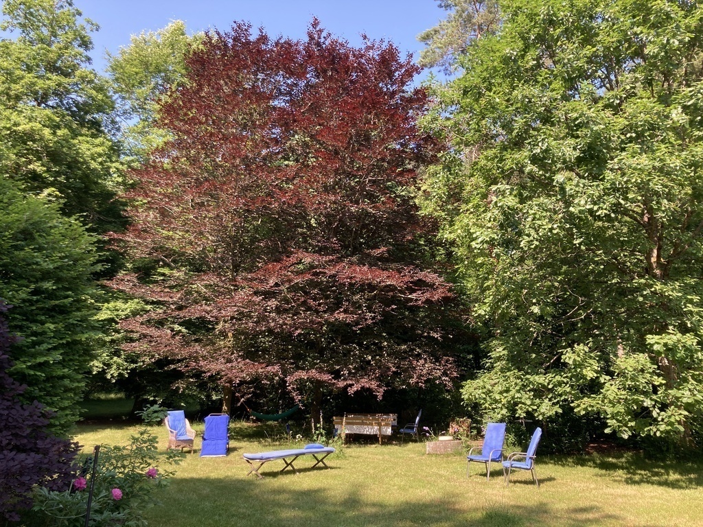 A lot of space and nature / Viel Platz und viel Natur