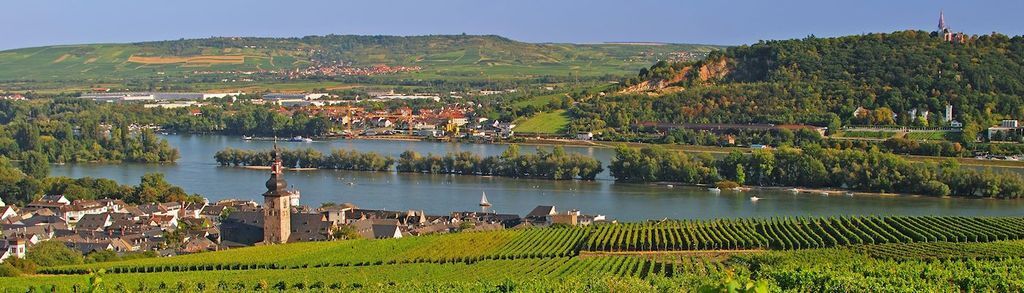 Rheingau (wine area)