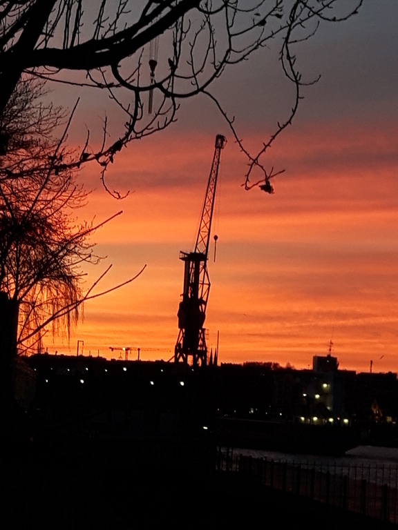 Visit the harbow of Hamburg!