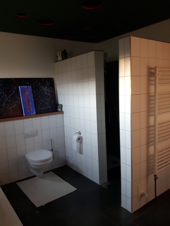 Bathroom with Walk-in shower