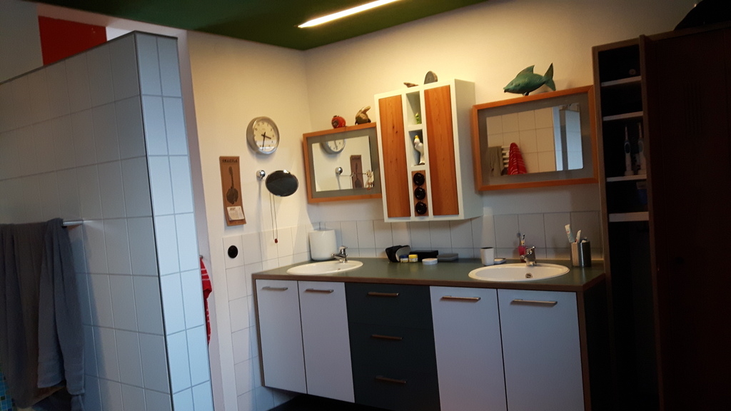 The main bathroom, with a shower and bathtub