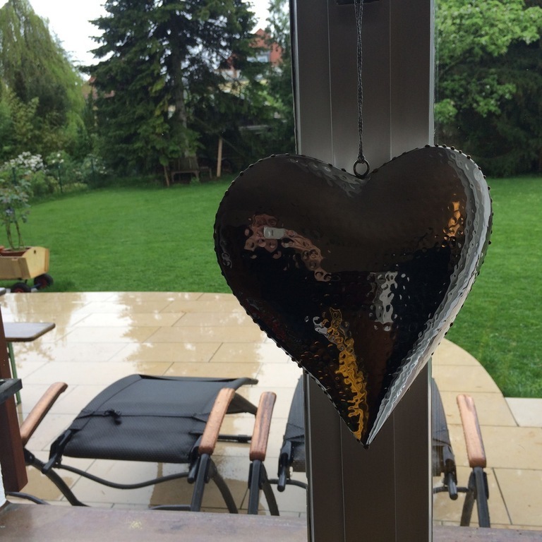 view in the garden from living room 