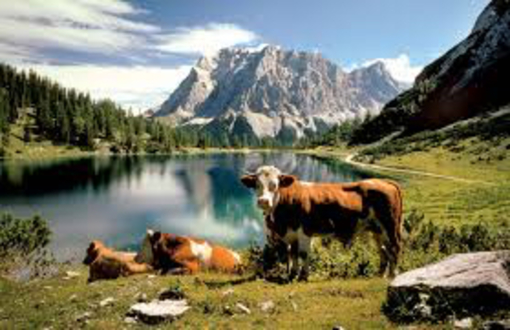 Zugspitze - less adventurous!