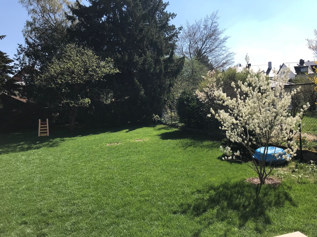 Back garden with sandbox and slide