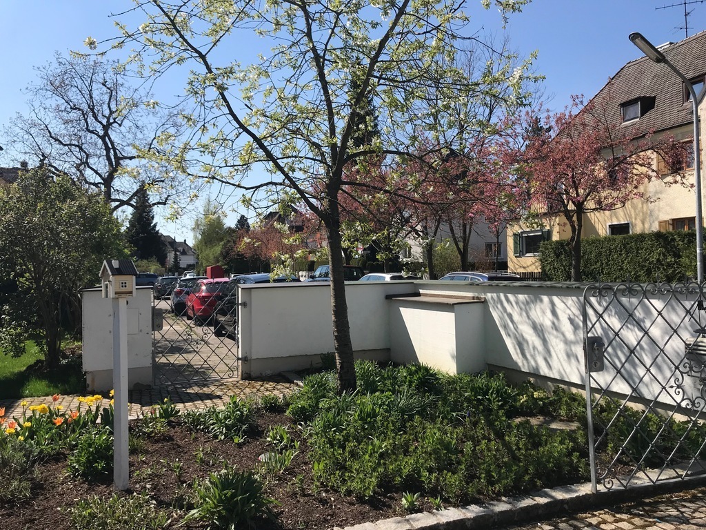 our street; view from front garden