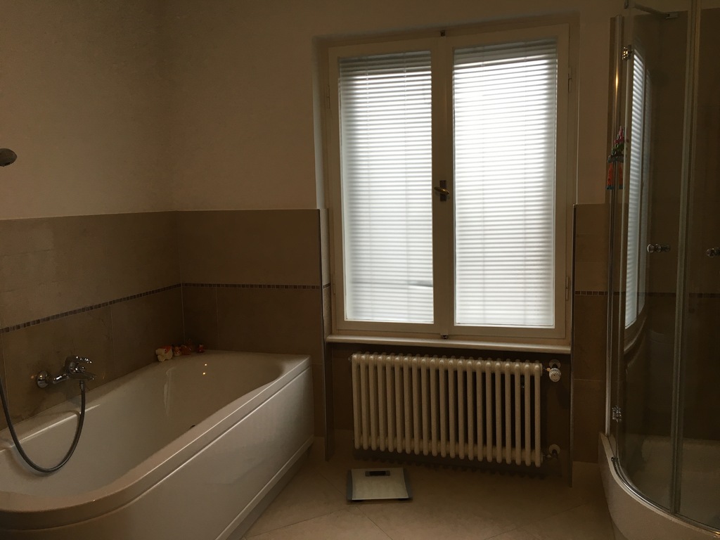 main bathroom, 1st floor 