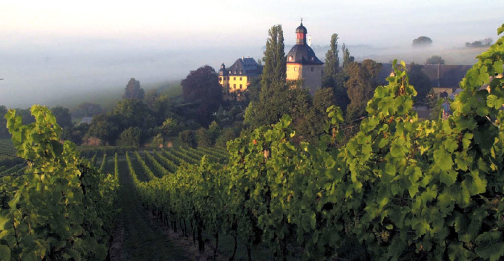 Rheingau&Wein - 30 min by car