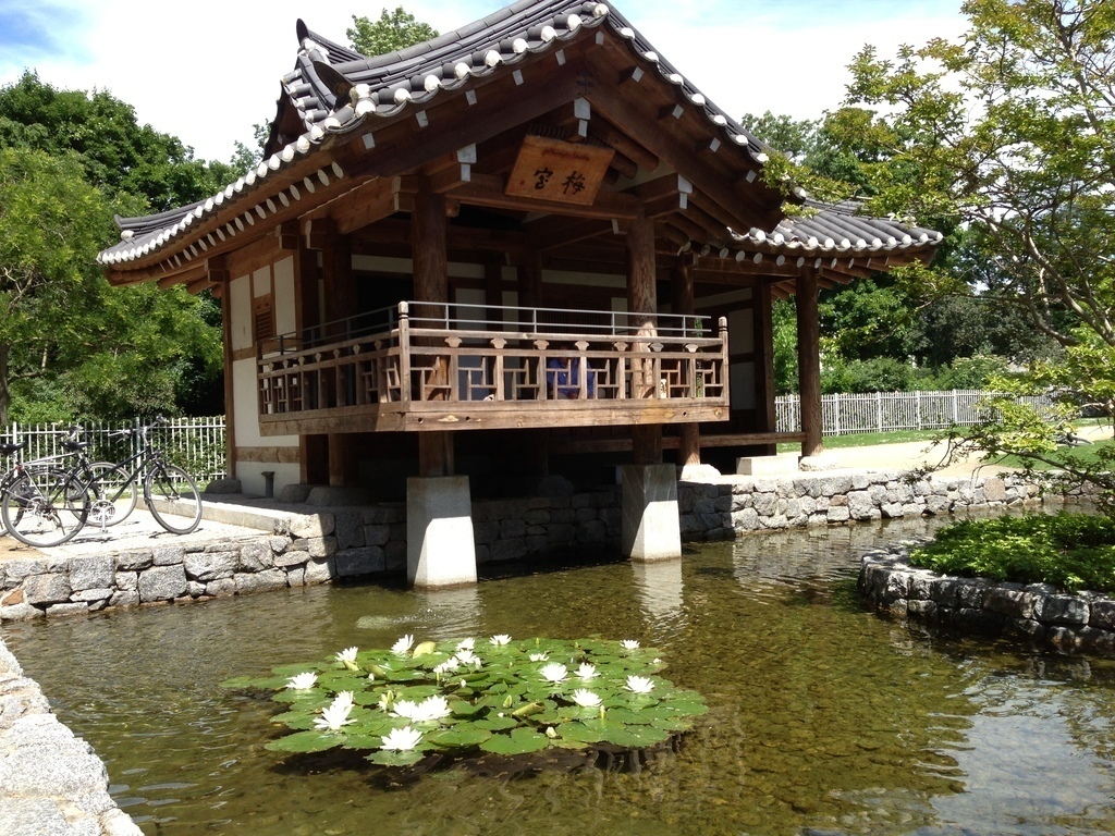 Koreanischer Garten - Frankfurt 10min by foot