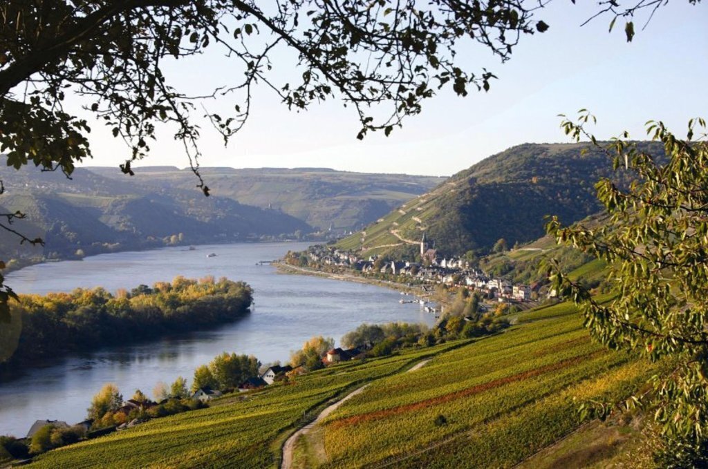 Rheintal - 30 min by car