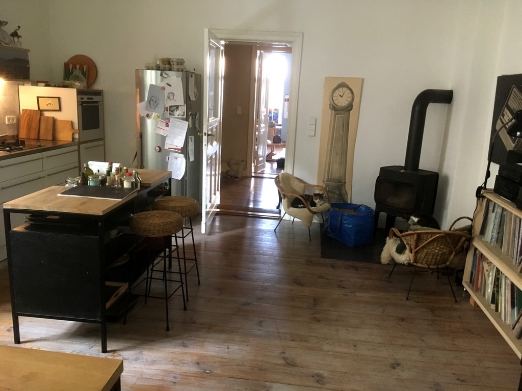 Küche: Ofen, kitchen with fireplace