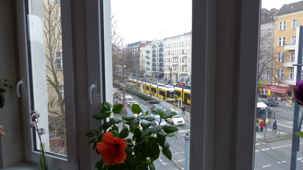 Blick aus dem Erkerzimmer - view from the bay window