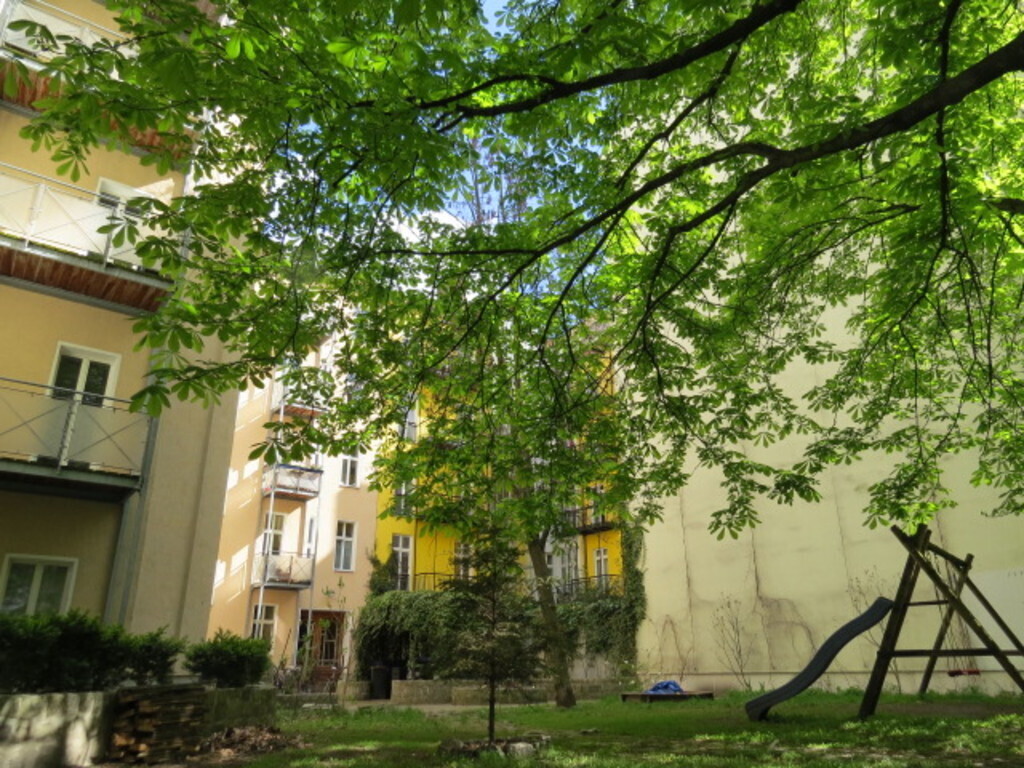 Backyard chill out area