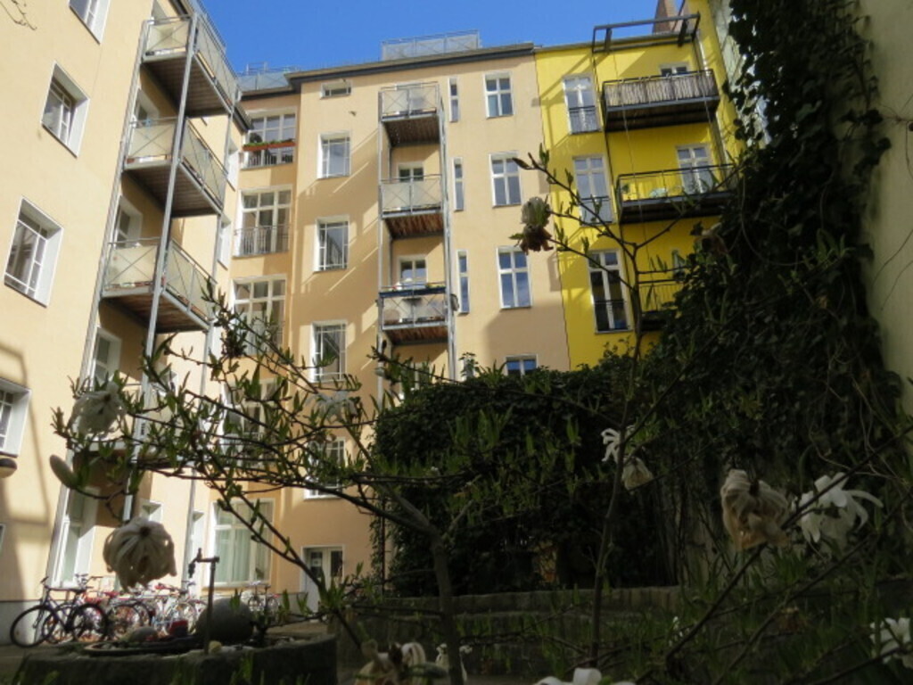 Southern balconies and backyard