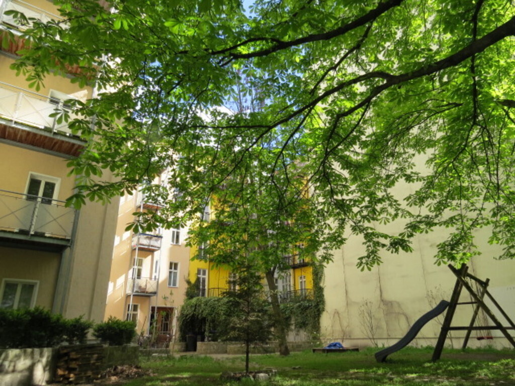 Backyard chill out area