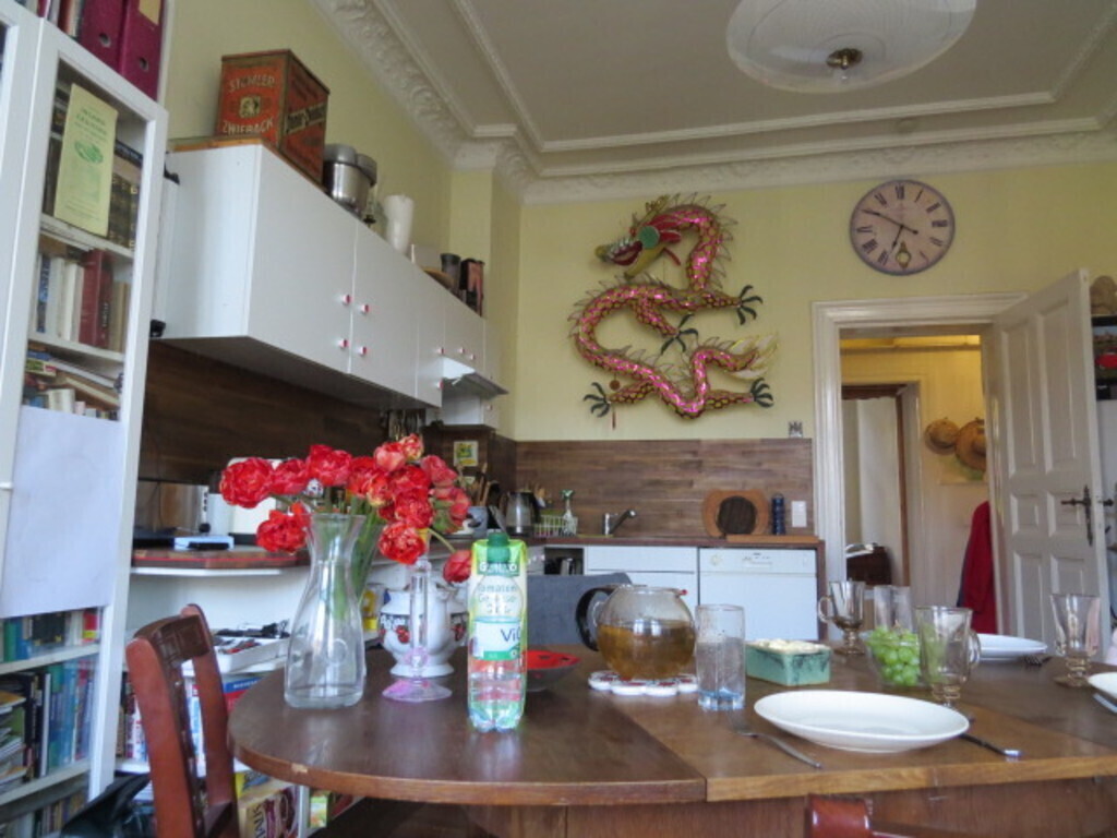 Kitchen-dining room with dragon lamp